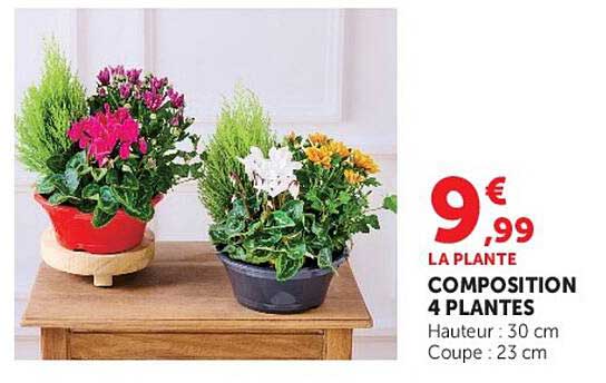 LA PLANTE COMPOSITION 4 PLANTES