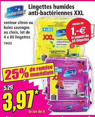 Lingettes humides anti-bactériennes XXL