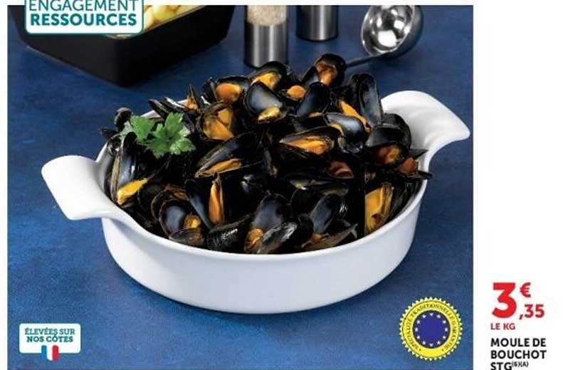 MOULE DE BOUCHOT STG/MA