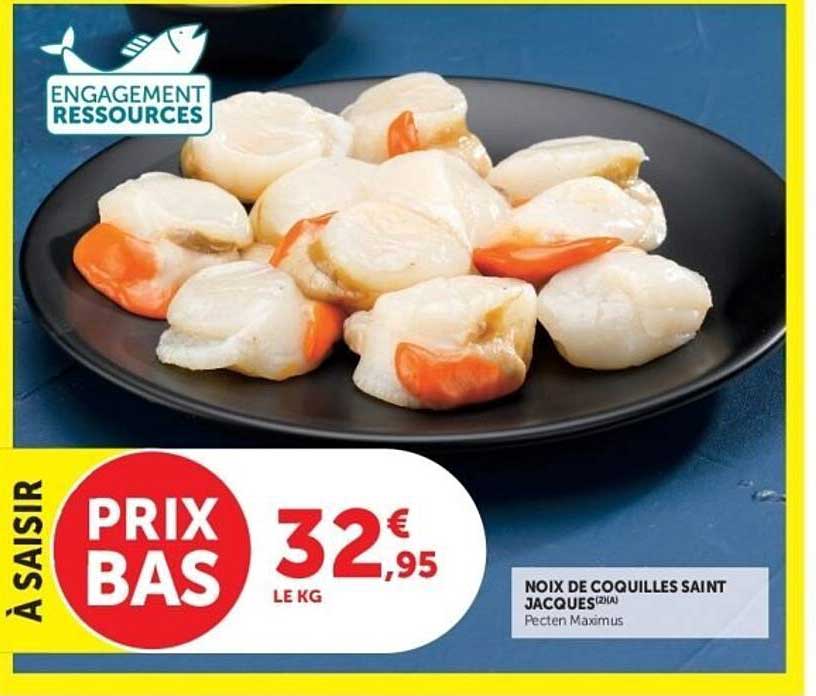 NOIX DE COQUILLES SAINT JACQUES (21A)