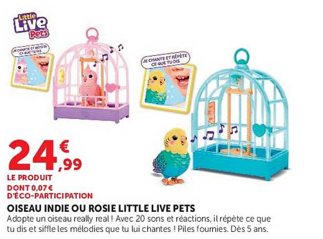 OISEAU INDIE OU ROSIE LITTLE LIVE PETS