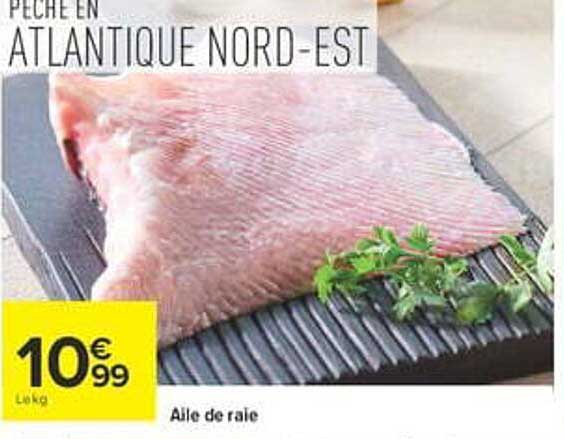 PÊCHE EN ATLANTIQUE NORD-EST