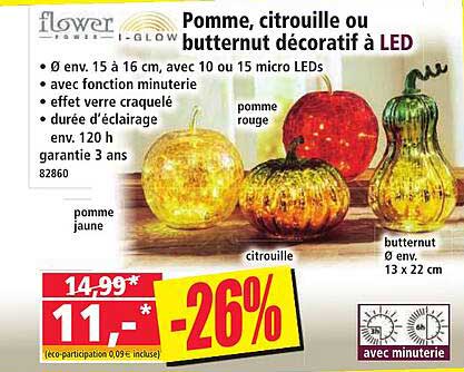 Pomme, citrouille ou butternut décoratif à LED