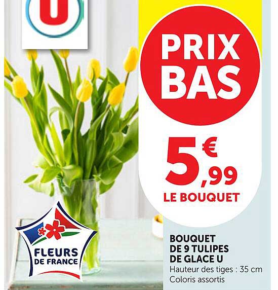PRIX BAS 5,99€ LE BOUQUET