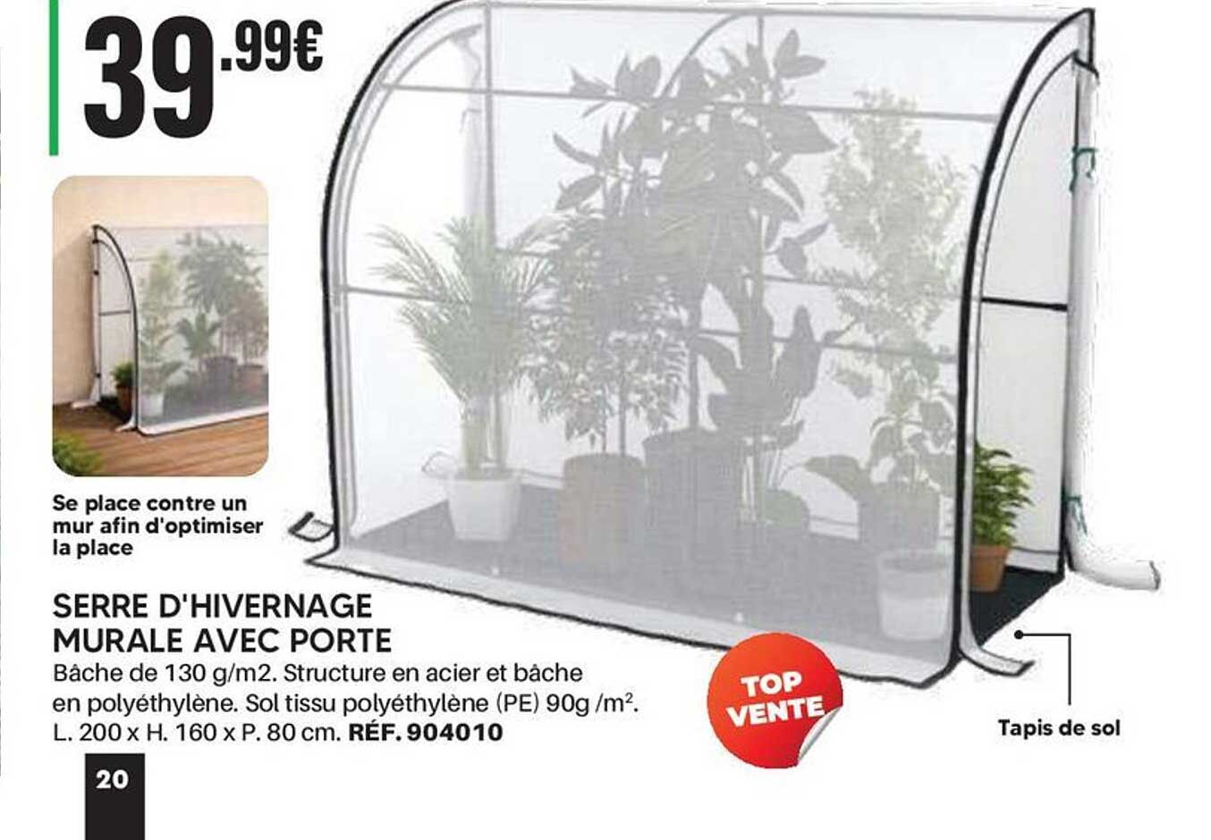 SERRE D'HIVERNAGE MURALE AVEC PORTE