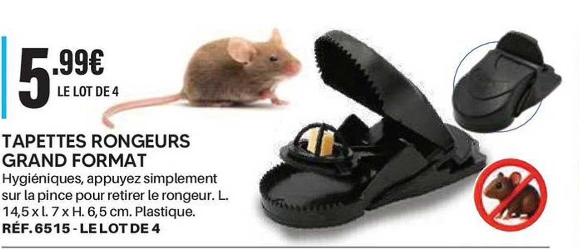 TAPETTES RONGEURS GRAND FORMAT