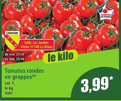 Tomates rondes en grappes