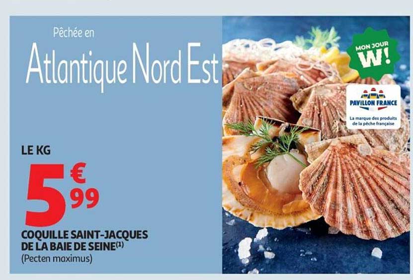 COQUILLE SAINT-JACQUES DE LA BAIE DE SEINE