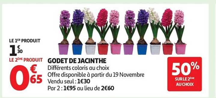GODET DE JACINTHE