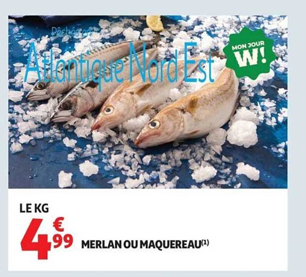 MERLAN OU MAQUEREAU