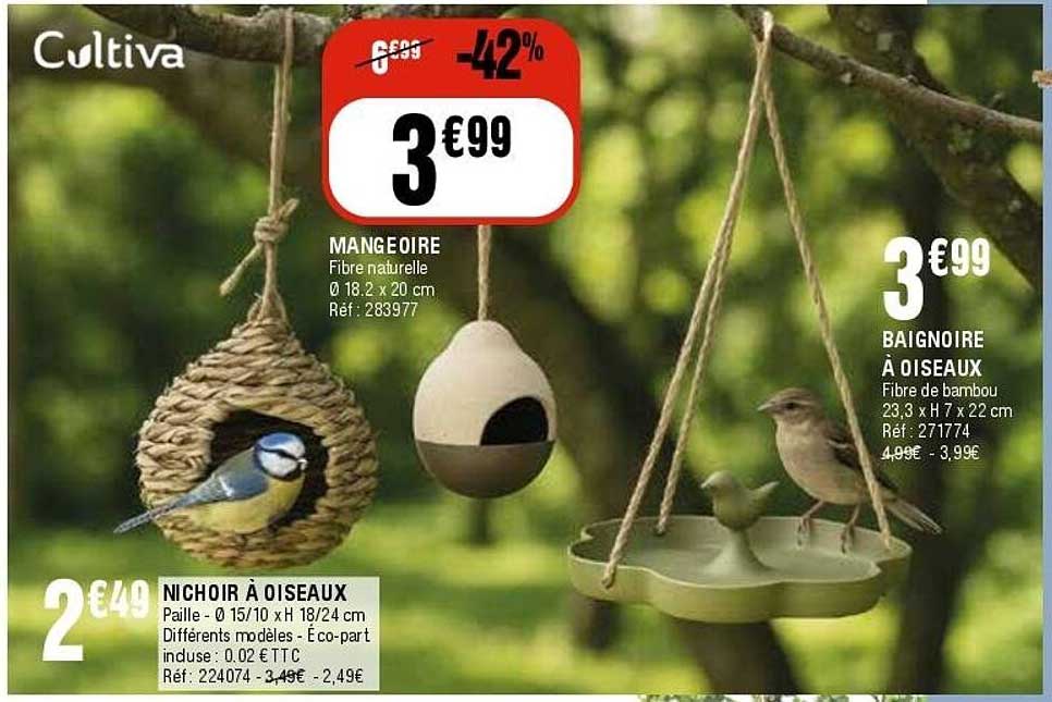 Mangeoire Oiseaux Foir Fouille