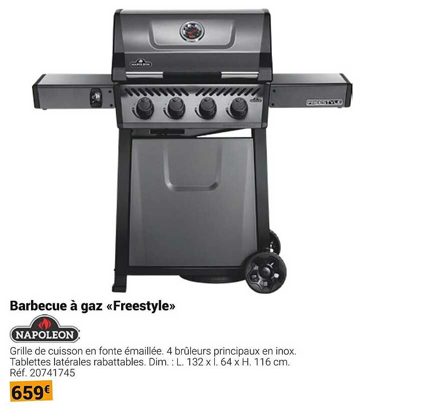 Barbecue à gaz « Freestyle »