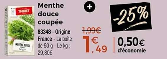 Menthe douce coupée