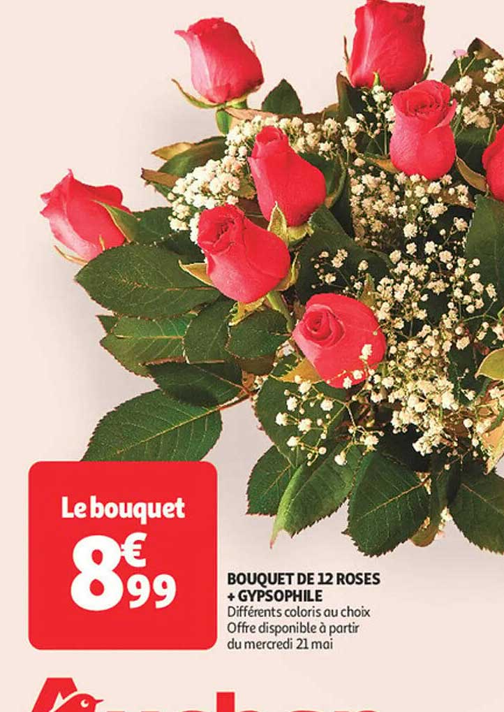 Bouquet de 12 roses + gypsophile