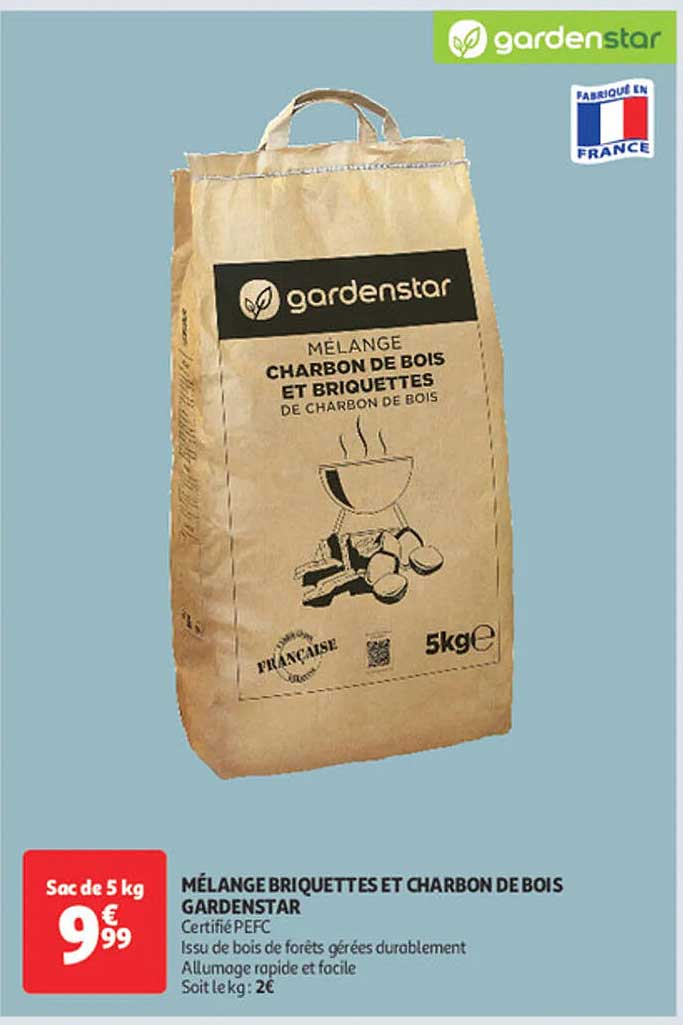 MÉLANGE BRIQUETTES ET CHARBON DE BOIS GARDENSTAR