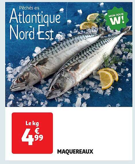 Pêchés en Atlantique Nord Est