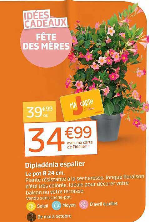 IDÉES CADEAUX FÊTE DES MÈRES