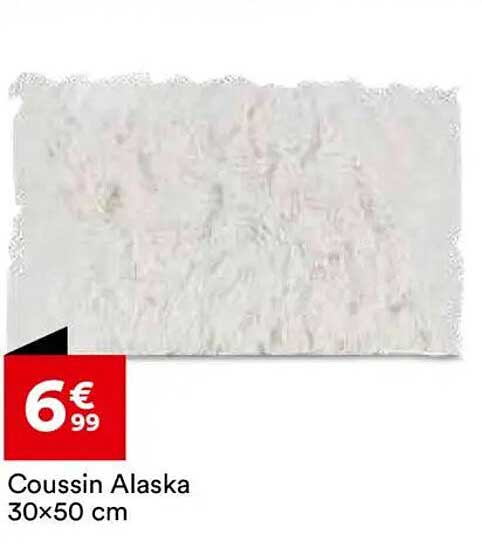 Coussin Alaska 30x50 cm