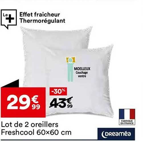 Lot de 2 oreillers Freshcool 60x60 cm