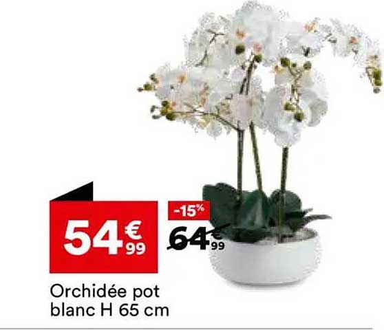 Orchidée pot blanc H 65 cm