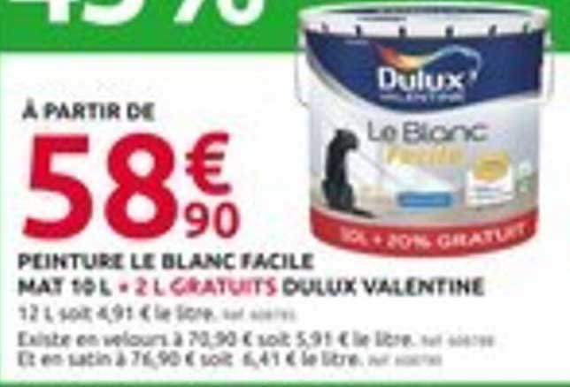 PEINTURE LE BLANC FACILE