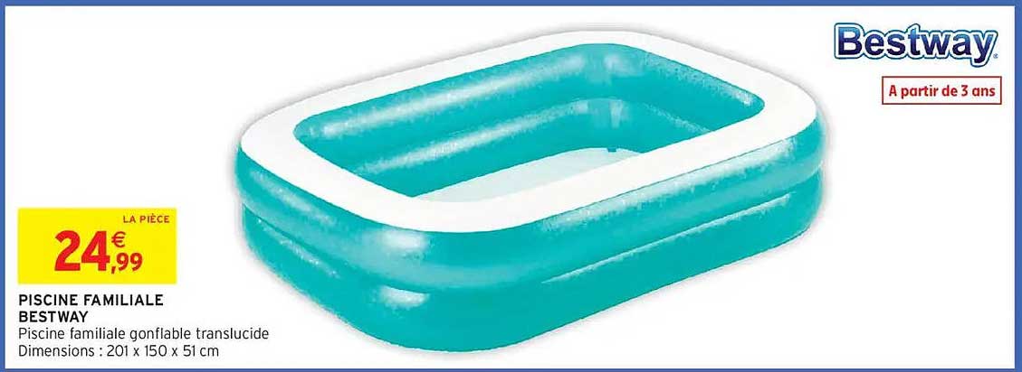 PISCINE FAMILIALE BESTWAY