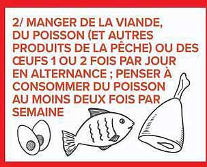 2/ MANGER DE LA VIANDE, DU POISSON (ET AUTRES PRODUITS DE LA PÊCHE) OU DES ŒUFS 1 OU 2 FOIS PAR JOUR EN ALTERNANCE ; PENSER À CONSOMMER DU POISSON AU MOINS DEUX FOIS PAR SEMAINE