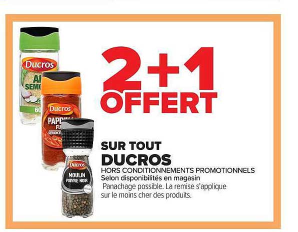 2+1 OFFERT SUR TOUT DUCROS