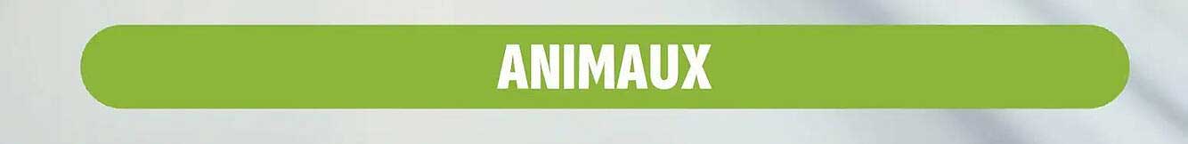 ANIMAUX