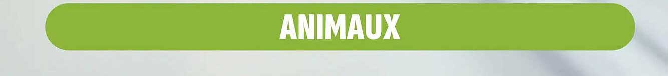 ANIMAUX