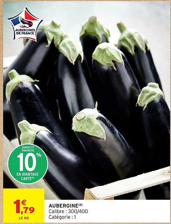 AUBERGINE(2)