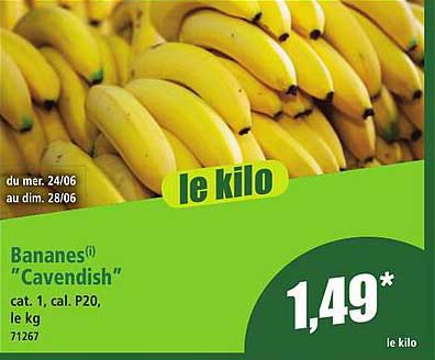 Bananes "Cavendish"