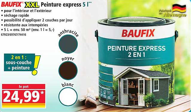 BAUFIX XXL Peinture express 5 l**