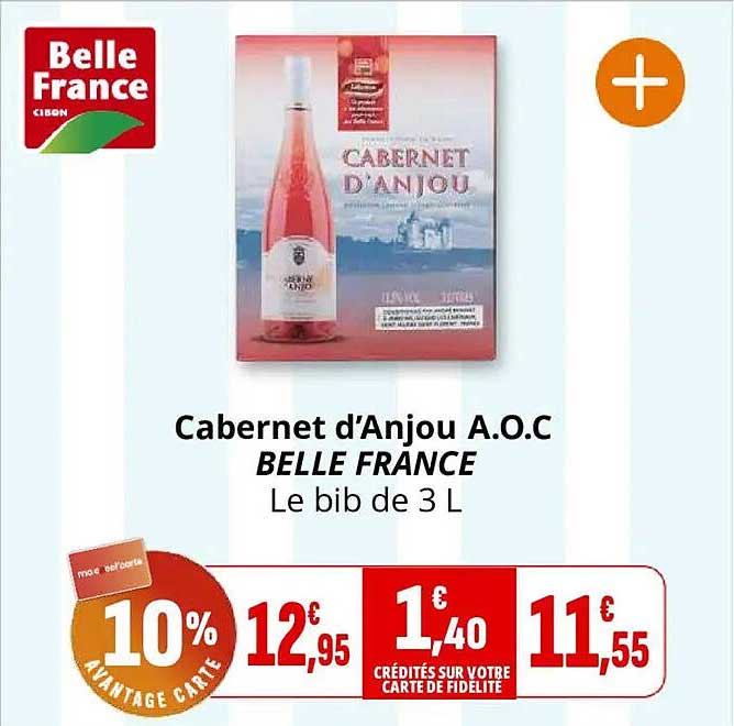 Cabernet d’Anjou A.O.C BELLE FRANCE Le bib de 3 L