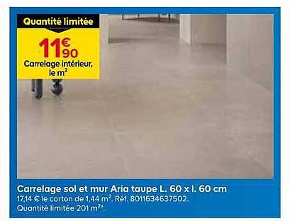 Carrelage sol et mur Aria taupe L. 60 x l. 60 cm