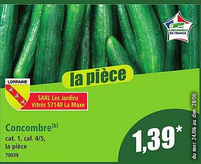 Concombre(b)