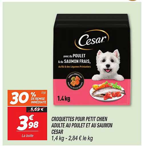 CROQUETTES POUR PETIT CHIEN ADULTE AU POULET ET AU SAUMON CESAR