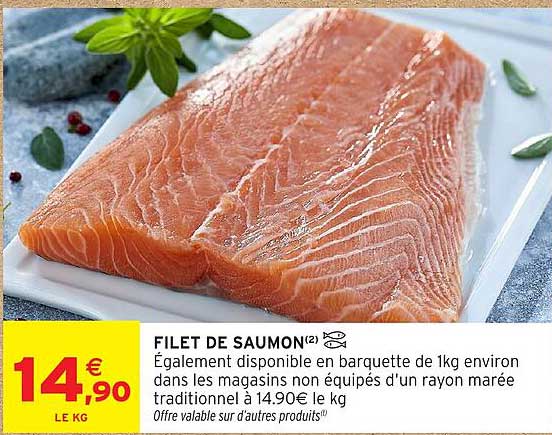 FILET DE SAUMON(2)