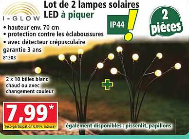 Lot de 2 lampes solaires LED à piquer