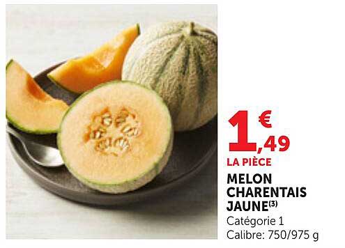 MELON CHARENTAIS JAUNE