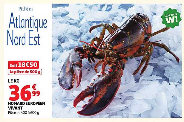 Pêché en Atlantique Nord Est