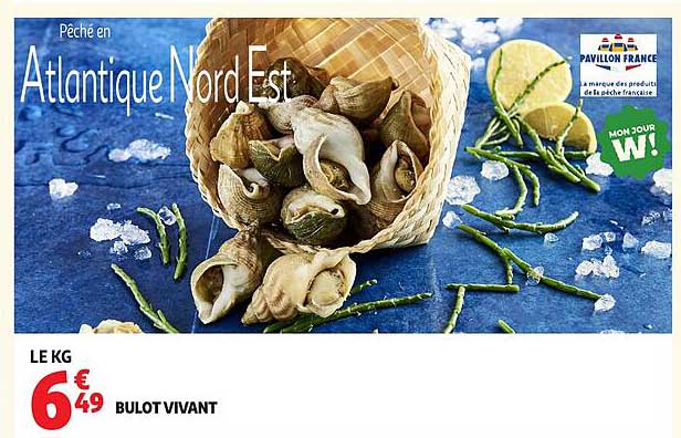 Pêché en Atlantique Nord Est