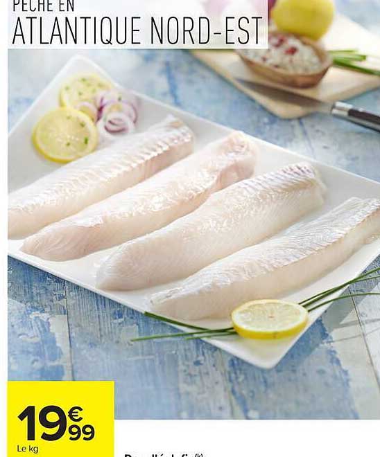 PECHE EN ATLANTIQUE NORD-EST