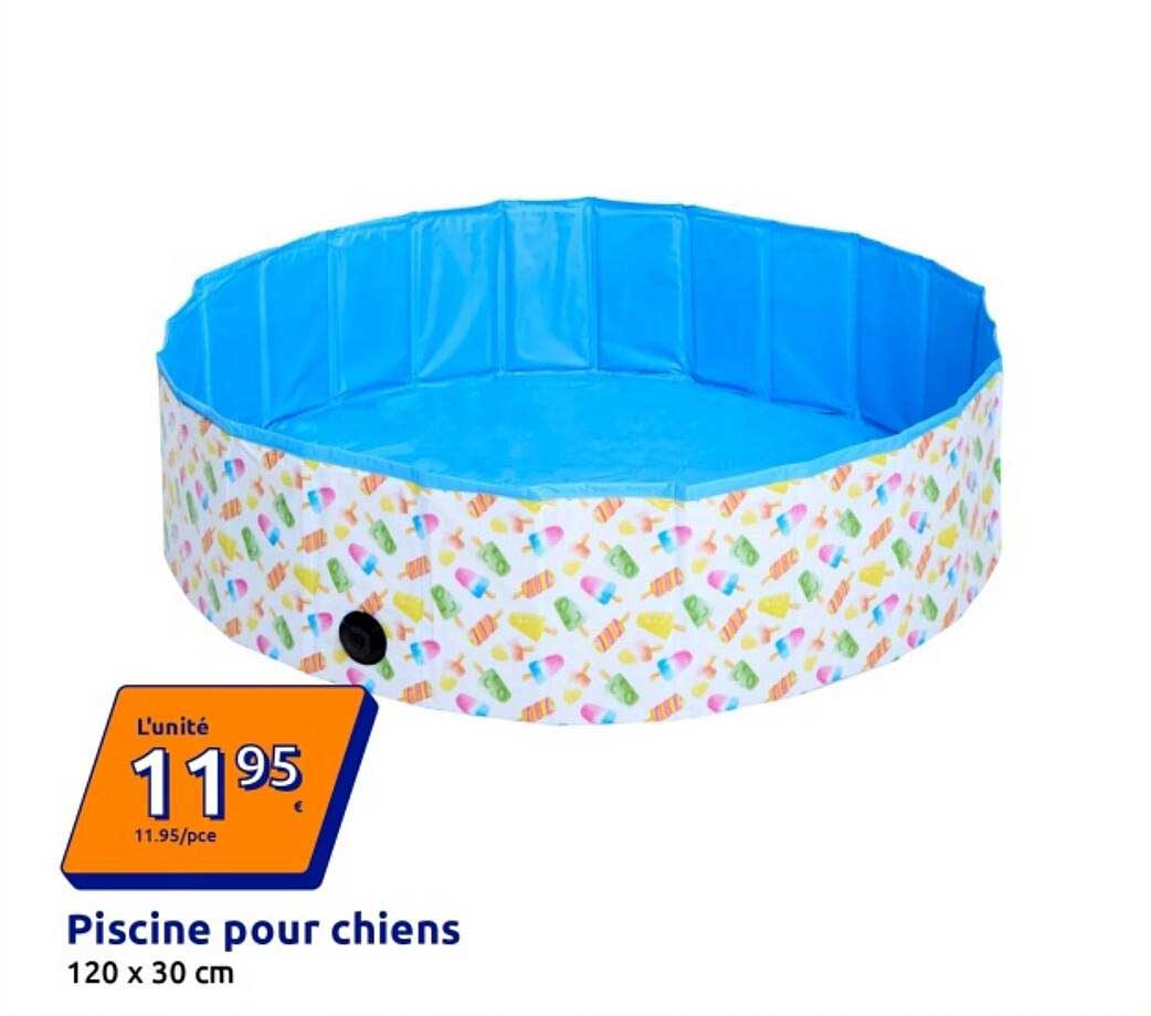 Piscine pour chiens