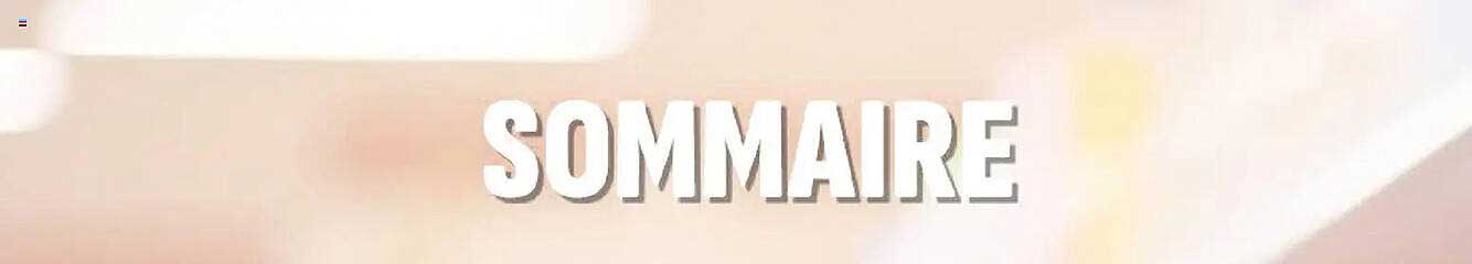 SOMMAIRE