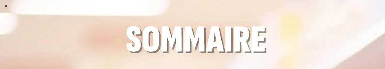 SOMMAIRE