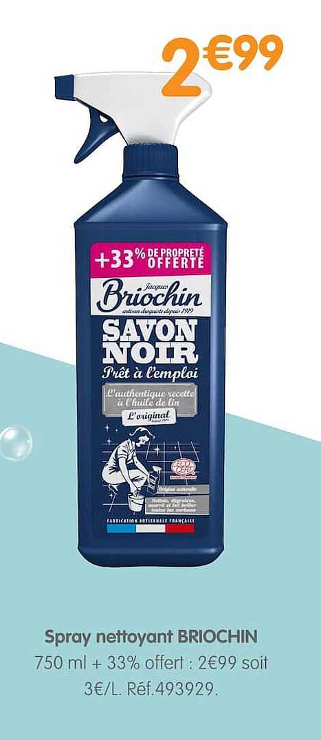 Spray nettoyant BRIOCHIN