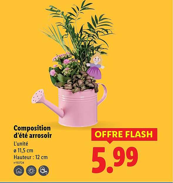 Composition d’été arrosoir