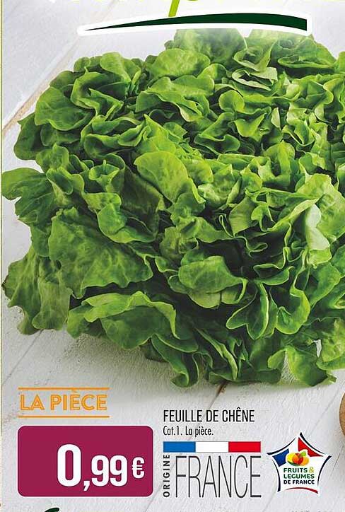Feuille de chêne