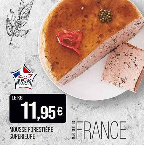 Mousse Forestière Supérieure